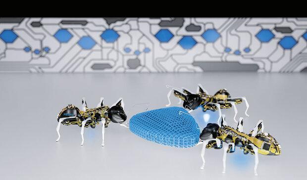 مورچه های رباتیک با هم همکاری می نمایند