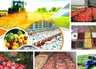 ارزآوری 3، 4 میلیارد دلاری صادرات محصولات کشاورزی