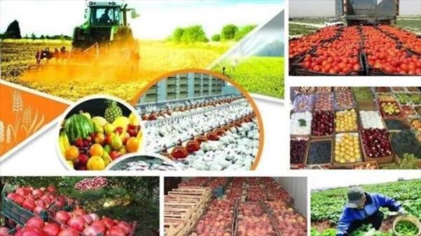 ارزآوری 3، 4 میلیارد دلاری صادرات محصولات کشاورزی